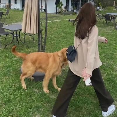 风流活宝贝